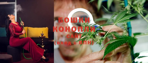 ГАЛЛЮЦИНОГЕННЫЕ ГРИБЫ Алексин