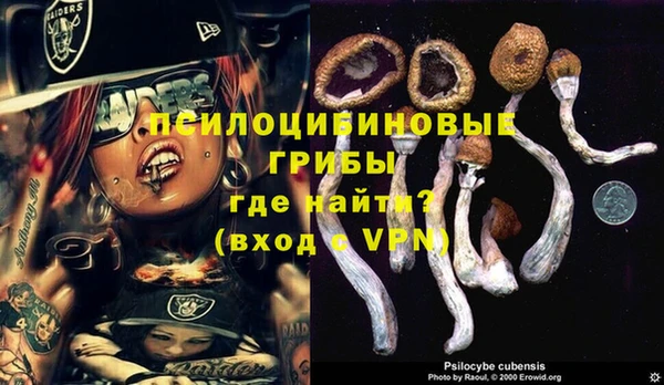 ГАЛЛЮЦИНОГЕННЫЕ ГРИБЫ Алексин