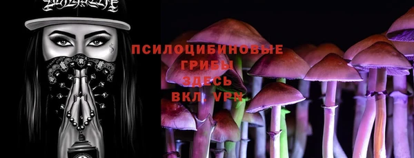 ГАЛЛЮЦИНОГЕННЫЕ ГРИБЫ Алексин