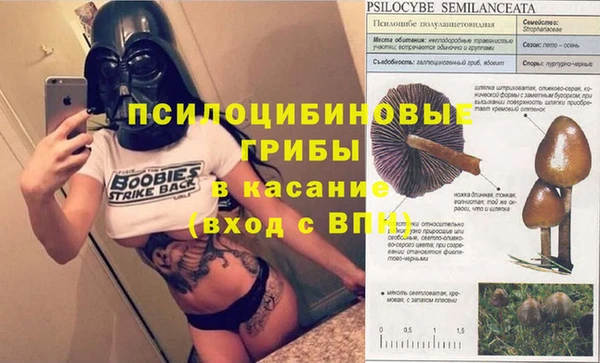 a pvp Алзамай