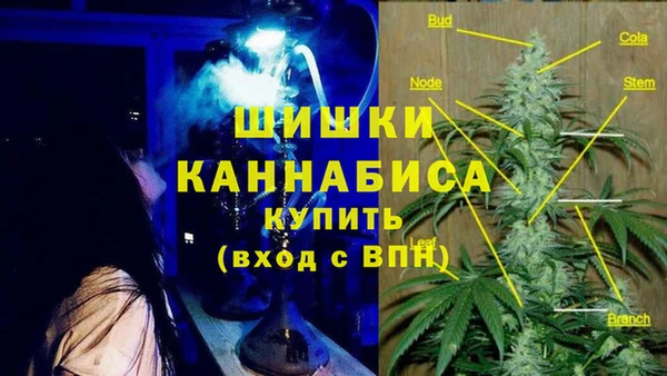 a pvp Алзамай