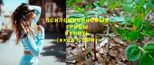 a pvp Алзамай