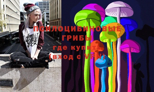 ешки Алексеевка