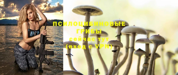 ешки Алексеевка