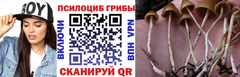 купить закладку  гидра ONION  Псилоцибиновые грибы Magic Shrooms  Клин 